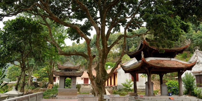 Tìm hiểu tọa độ chùa Thanh Mai